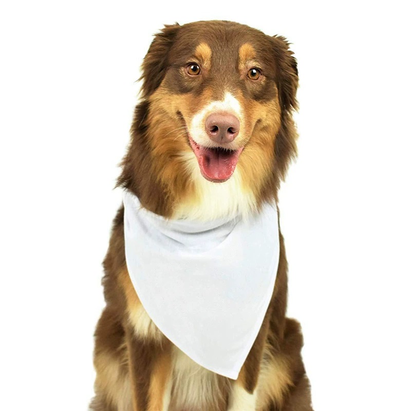 Küçük Orta Büyük Köpekler için - Bandana Blank White incelemesi ve fiyatı